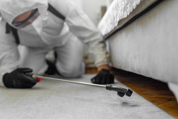 Professional Cockroach Control technician working in Hales Corners, WI